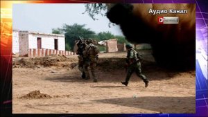 «Путин отдал приказ остановить СВО»:  ВС РФ прекратят огонь, чтобы мир увидел разгром ВСУ