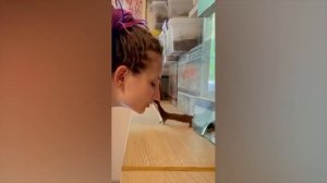 Смешные животные. Часть 53.