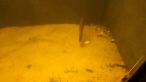 Океанариум "ТРЦ Мармелад" (Волгоград)