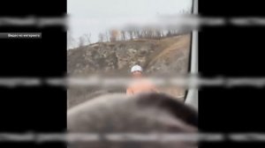 Место происшествия 28-10-2025