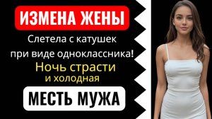 Жена слетела с катушек при встрече с бывшим одноклассником! Измена жены.