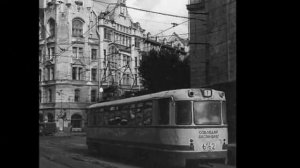 ЗООПАРК - Шесть утра