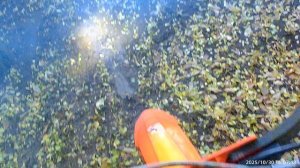 Тропка ПОВОДЫРЬ ТАК СЕБЕ