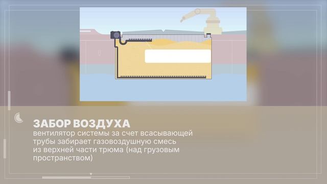 Как обеззараживают зерно в трюмах судов