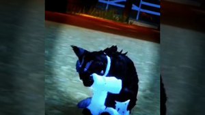 ХЗ просто эдит)