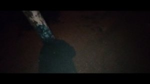 Мы идём гулять с собакой! | 11-авг-2024, 3