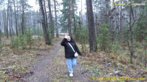 🍂РЕФТИНСКИЙ. 🍂ПРОГУЛКА ПО ОКТЯБРЬСКОМУ ЛЕСУ. 30 ОКТЯБРЯ.