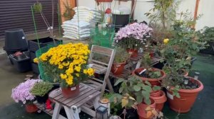 Спасибо за советы, заказываю сетку для забора.