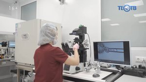 Криоконсервация: современная технология или отложенное материнство?