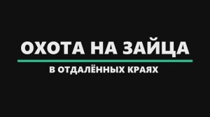 Охота на зайца в отдалённых краях