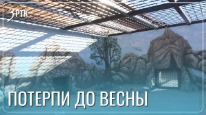 Медведям придется ждать переезда в новые дома до весны