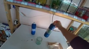 Пробую декапсулировать яйцо и что из этого вышло. Смотрю в микроскоп