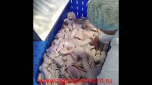 Очищаем уши, ноги свиней, шёрстная центрифуга