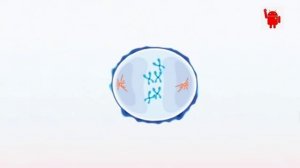 TTFields (Tumor Treating Fields) - поля для лечения опухолей. Квантовая медицина