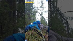 Лесной фитнес с Мирончело 30.10.2025 #юныйпрадедбодрыйдед #мироша #авсарх