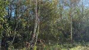 Конобеево, ул. Заречная