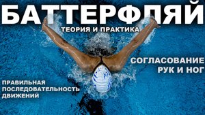 КАК НАУЧИТЬСЯ ПЛАВАТЬ БАТТЕРФЛЯЕМ | Плавание баттерфляем с нуля