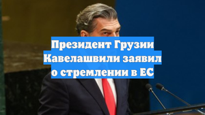 Президент Грузии Кавелашвили заявил о стремлении в ЕС