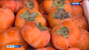 На рязанских прилавках появилась хурма