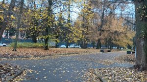 Прогулки по Москве. Утренняя прогулка по скверу около Китайского посольства. Осенний парк