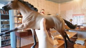 Распаковка подарка от Breyer Films. Что там? 👀❤️