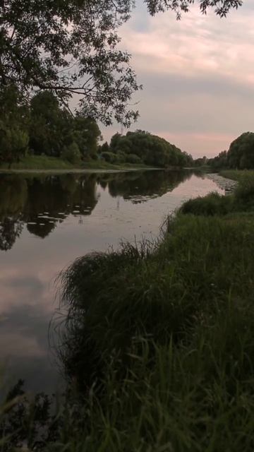 Природа. Звуки природы смотреть онлайн