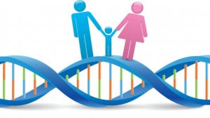 Как найти подход к ребенку, чтобы не мучить его и себя ?