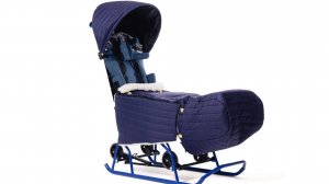 RAFT САНКИ 2в1 — санки с позиционированием и функционалом коляски