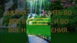 Аллах смотрить  в каждое мгновение, везде, все видить, все соышит.