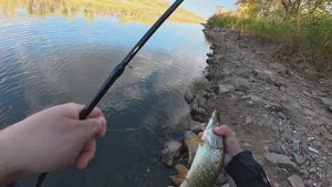 Осваиваю рыбалку на хищника! Первая щука!