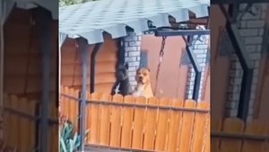 Охранники на работе 😂