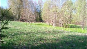 Что мне досталось?