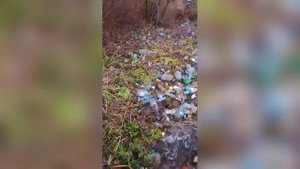 Мусор у родника Аржан-Суу в Республике Алтай