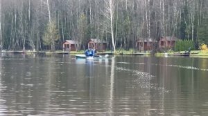 Запуск форели