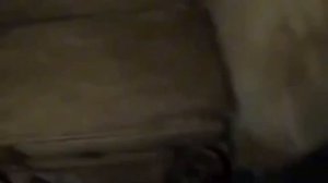 #археология #раскопки #гробниц останки древниц цивилизаций #захоронений #мумия