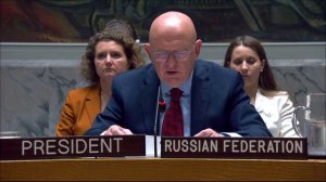 Statement by Vassily Nebenzia at UNSC Briefing on Sudan