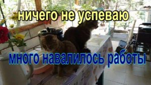 № 947 ничего не успеваю // много навалилось работы