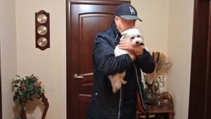 Хулиганье одно в доме...одни вредители...