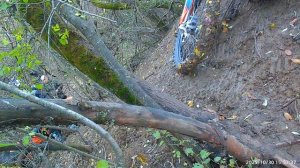 Тропка ПОВОДЫРЬ ТАК СЕБЕ