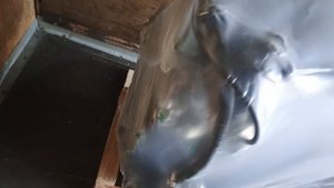 Двс ВАЗ 21213 (компл №1-двс в сборе) ТК "ПЭК" от 14.10.2025