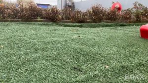 30-10-2025 ОГОРОД🧄, ПАРК🌳🌳🌳,КОФЕ☕️,УЖИН🍛ГРИЛЬ/жизнь здесь и сейчас❤️❤️❤️