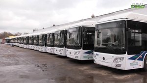 25 новых автобусов: Самара обновляет общественный транспорт