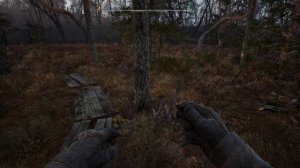 S.T.A.L.K.E.R. 2 -Аномальная активность №31