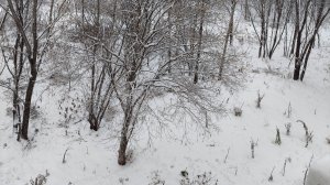 Снег второй через 12 дней.. А я завтракаю. Жареная картошка 🥔