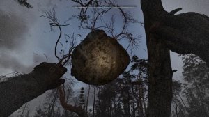 S.T.A.L.K.E.R. 2 -Аномальная активность №29