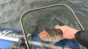 УЖАС КАКОЙ ТО,ЩУКА ВЫПРЫГИВАЕТ ИЗ ПОДСАКА!!!