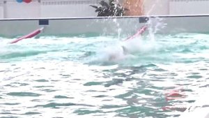 В честь Дня народного единства пройдут соревнования по плаванию среди детей в СК "Олимпия" Братска