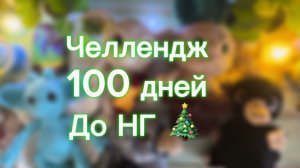 Челлендж 100 дней до нг.