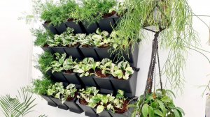 Вертикальное озеленение, из фитомодулей от "Цветология".