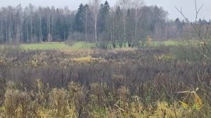 ЗУ :196845 д. Мостки